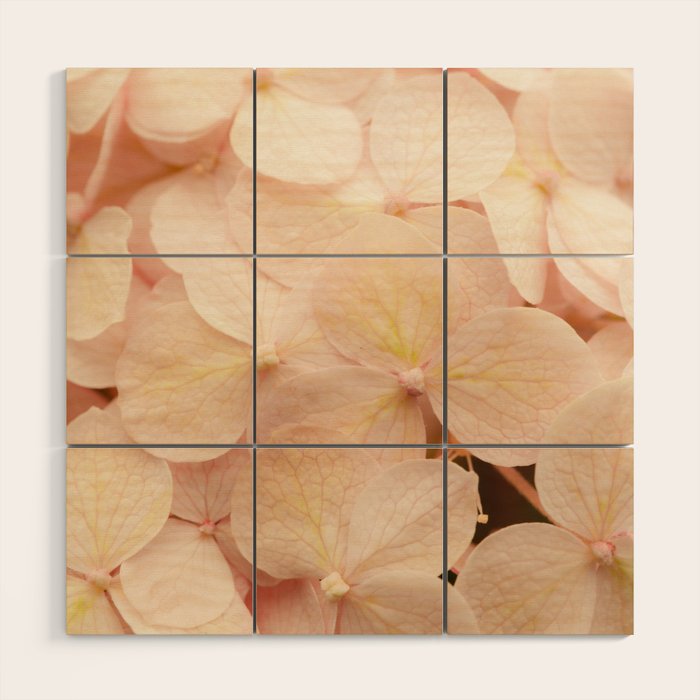 Lauds - Dawn Prayer Wood Wall Art Gallery Image 1