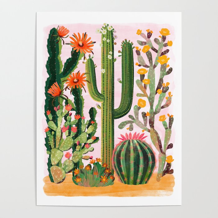 Desert Cactus in Bloom Poster Gallery Image 4