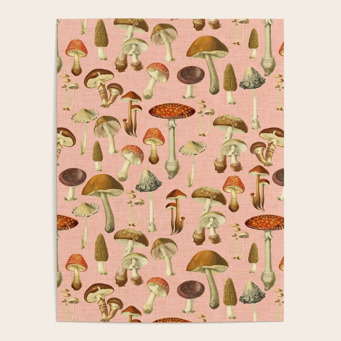 Mushrooms pink Poster Gallery Image 4