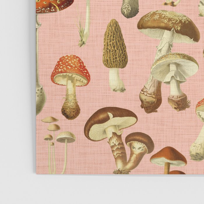 Mushrooms pink Poster Gallery Image 3