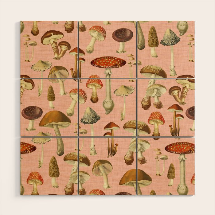 Mushrooms pink Wood Wall Art Gallery Image 1