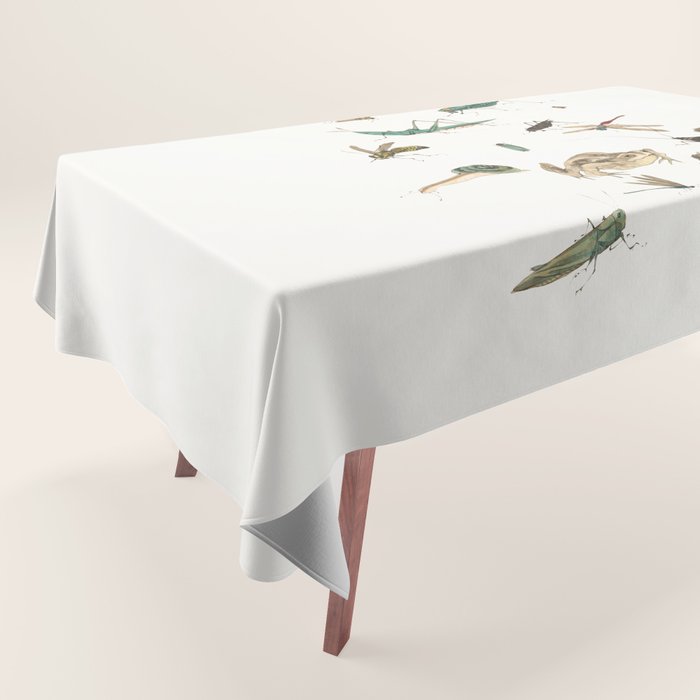 Insects frogs and a snail Tablecloth Gallery Image 1
