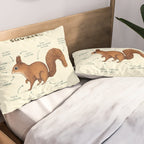 Anatomy of a Squirrel Pillow Sham Gallery Image 2