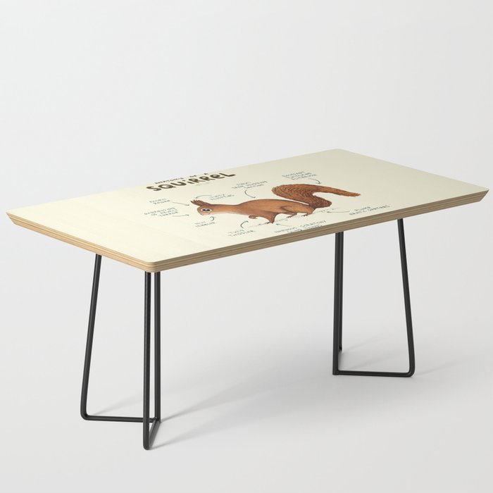 Anatomy of a Squirrel Coffee Table Gallery Image 1