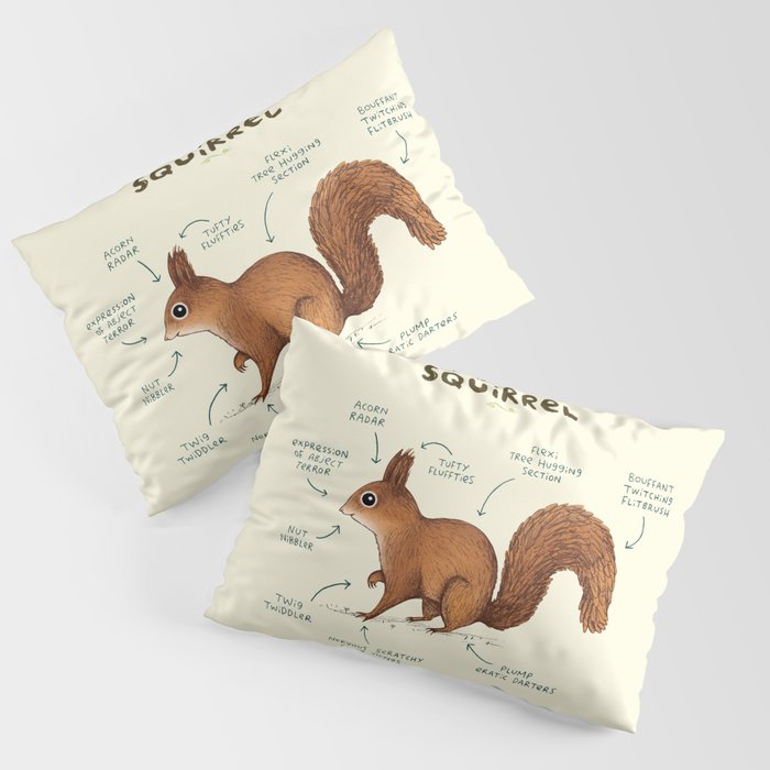 Anatomy of a Squirrel Pillow Sham Gallery Image 1