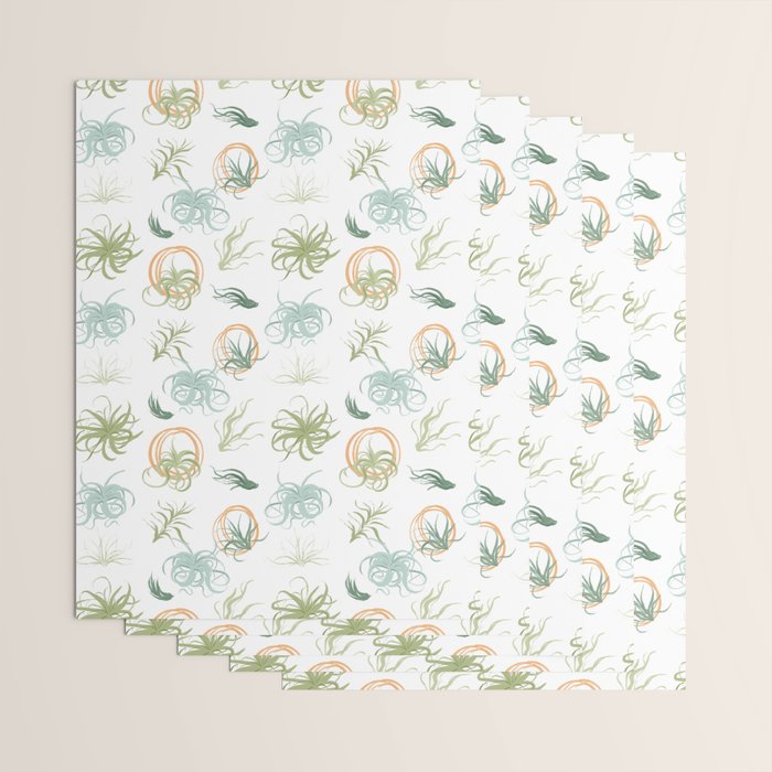 Air Plants Wrapping Paper Gallery Image 3