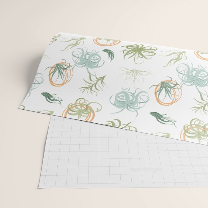 Air Plants Wrapping Paper Gallery Image 2