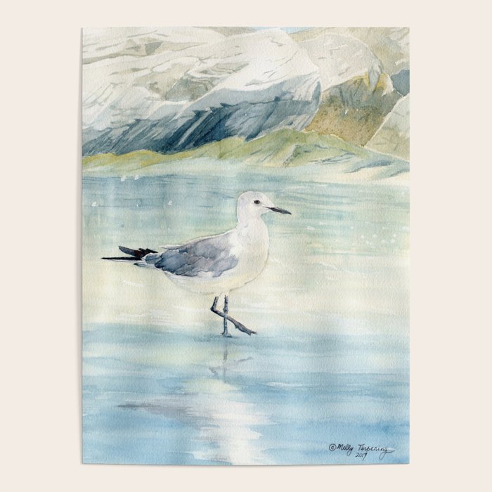 Seagull on the beach Poster Gallery Image 4