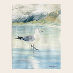 Seagull on the beach Poster Gallery Image 4
