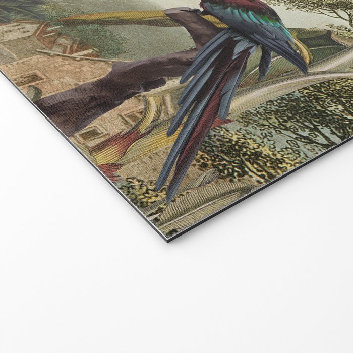 Parrot Garden Welcome Mat Gallery Image 2