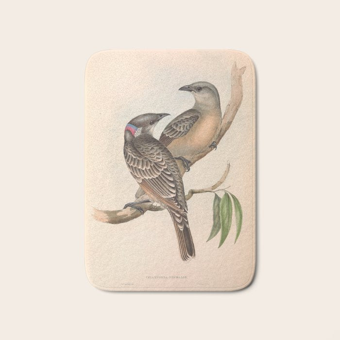 Great Bowerbird by Elizabeth Gould, 1840s (benefitting The Nature Conservancy) Bath Mat Gallery Image 1