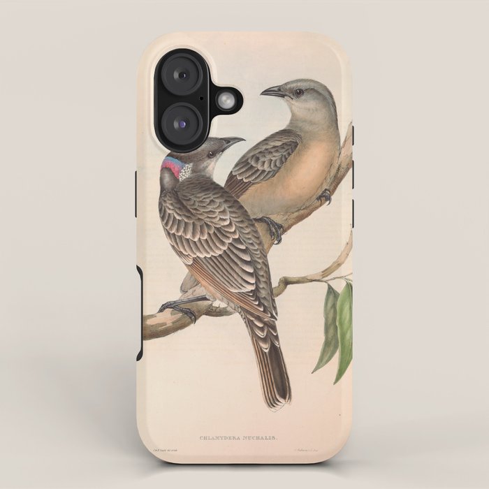 Great Bowerbird by Elizabeth Gould, 1840s (benefitting The Nature Conservancy) iPhone Case Gallery Image 1