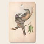 Great Bowerbird by Elizabeth Gould, 1840s (benefitting The Nature Conservancy) Cutting Board Gallery Image 1