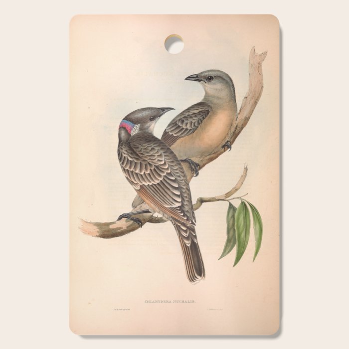Great Bowerbird by Elizabeth Gould, 1840s (benefitting The Nature Conservancy) Cutting Board Gallery Image 1