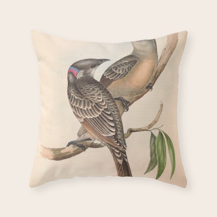 Great Bowerbird by Elizabeth Gould, 1840s (benefitting The Nature Conservancy) Throw Pillow Gallery Image 1