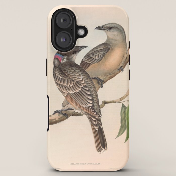 Great Bowerbird by Elizabeth Gould, 1840s (benefitting The Nature Conservancy) iPhone Case Gallery Image 5