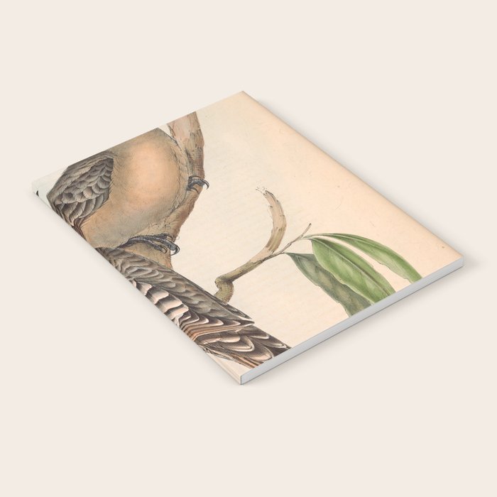 Great Bowerbird by Elizabeth Gould, 1840s (benefitting The Nature Conservancy) Notebook Gallery Image 2
