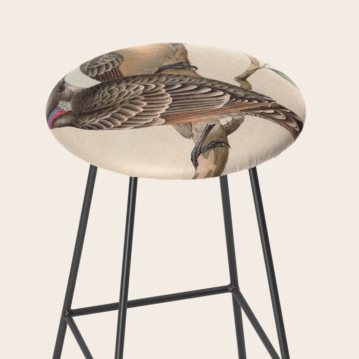 Great Bowerbird by Elizabeth Gould, 1840s (benefitting The Nature Conservancy) Stool Gallery Image 2