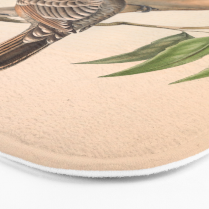 Great Bowerbird by Elizabeth Gould, 1840s (benefitting The Nature Conservancy) Bath Mat Gallery Image 3