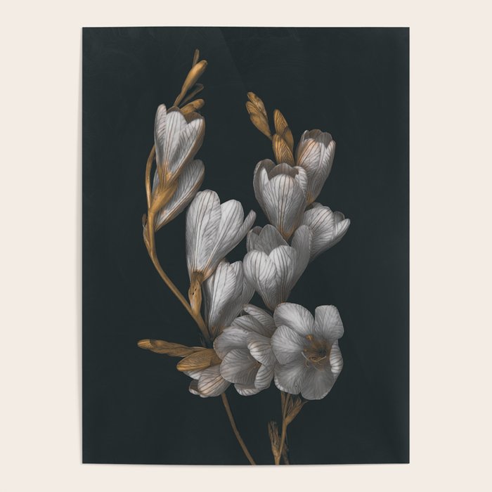 Night Flowers Poster Gallery Image 1