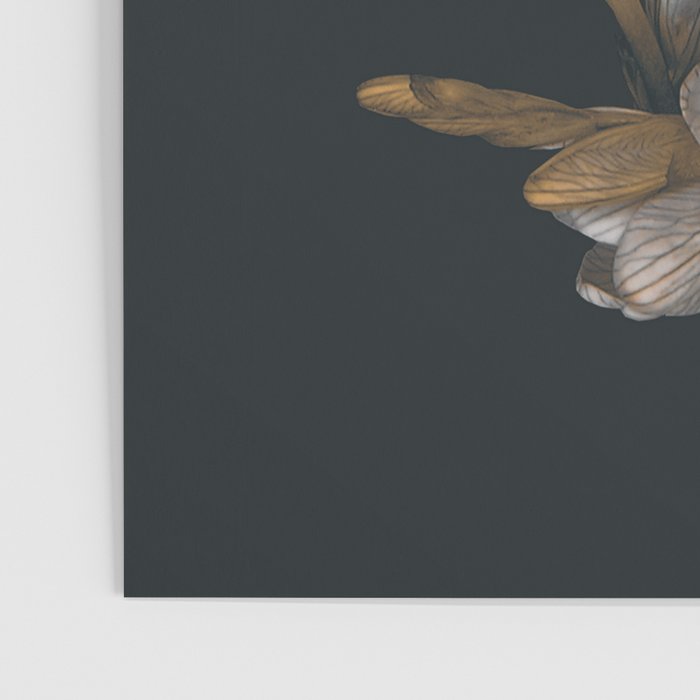 Night Flowers Poster Gallery Image 3