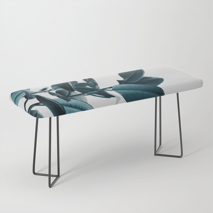 Ficus Bench Gallery Image 1