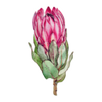 Protea flower painted in watercolor Coffee Mug Gallery Image 2