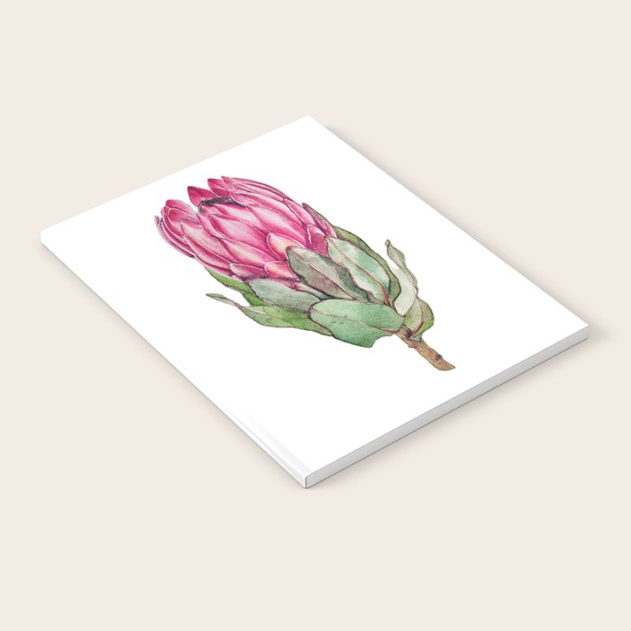Protea flower painted in watercolor Notebook Gallery Image 1