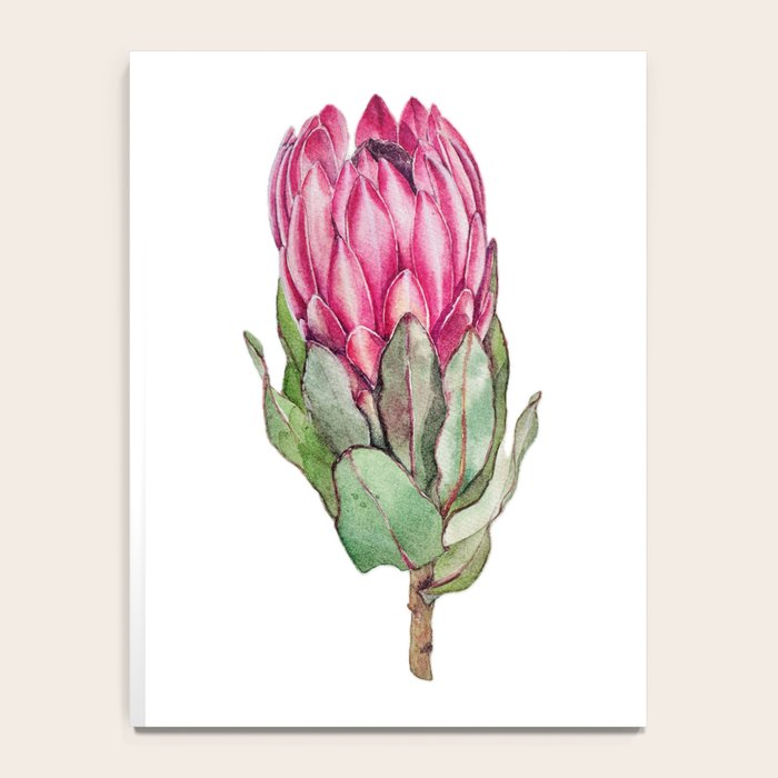 Protea flower painted in watercolor Notebook Gallery Image 4