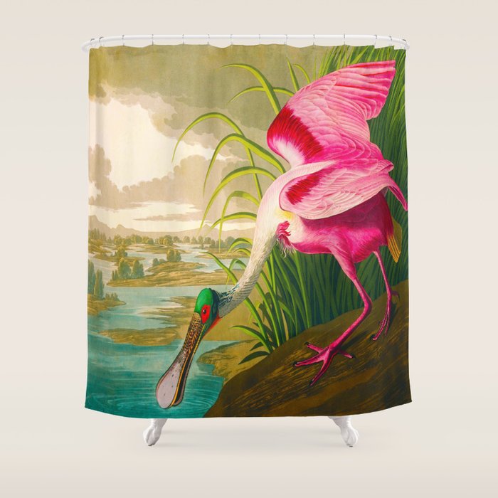 Roseate Spoonbill Bird pink Shower Curtain Gallery Image 1