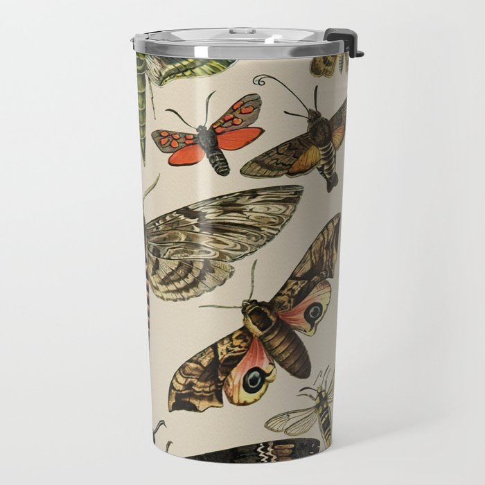 Vintage Scientific Moth Chart Travel Mug Gallery Image 2