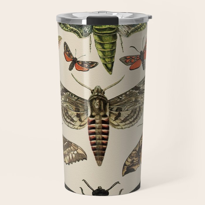 Vintage Scientific Moth Chart Travel Mug Gallery Image 1