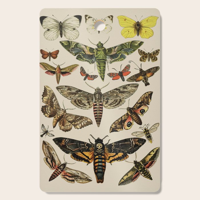 Vintage Scientific Moth Chart Cutting Board Gallery Image 1