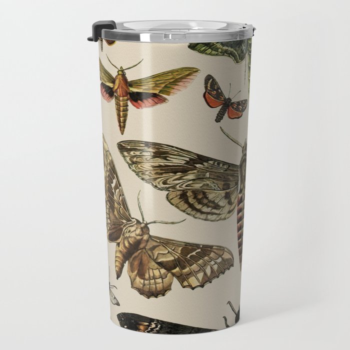 Vintage Scientific Moth Chart Travel Mug Gallery Image 3
