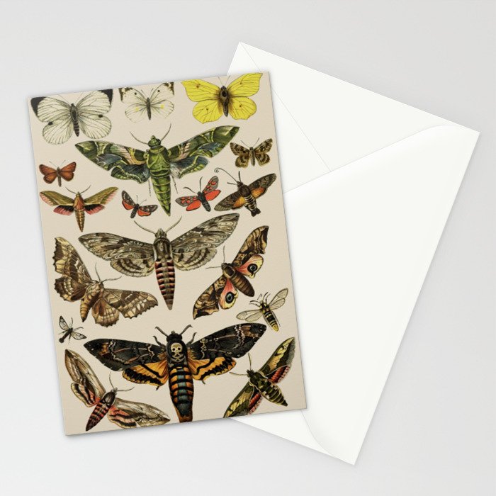 Vintage Scientific Moth Chart Stationery Card Gallery Image 2