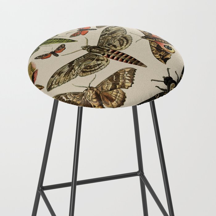 Vintage Scientific Moth Chart Stool Gallery Image 2