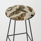 Vintage Scientific Moth Chart Stool Gallery Image 2