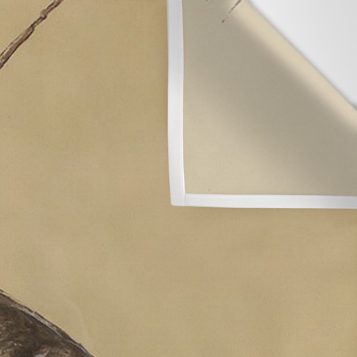 Bucking Horse Western Art by Will James Wall Tapestry Gallery Image 3