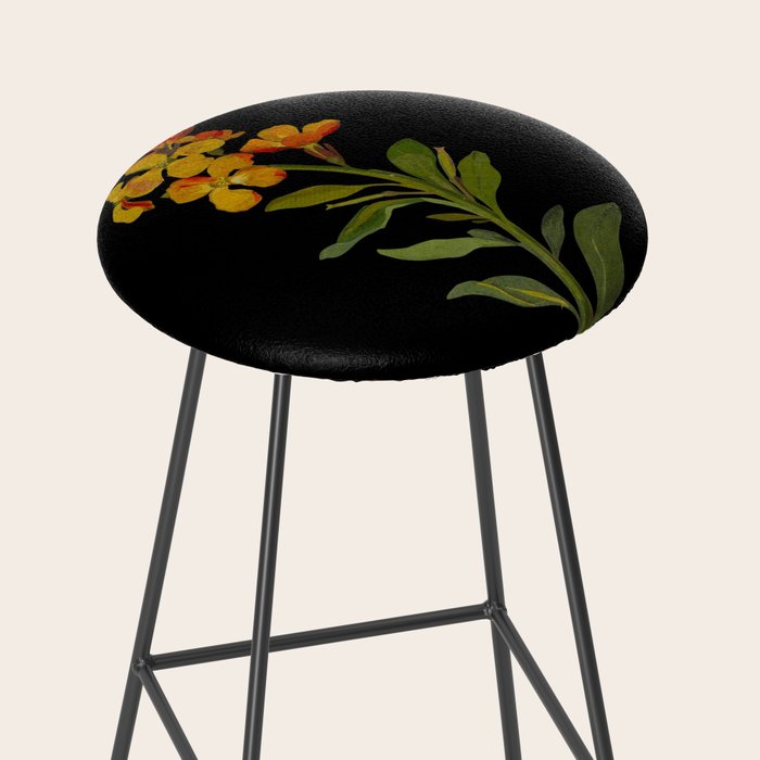 Cheiranthus Cheiri  by Mary Delany Paper Collage Floral Flower Botanical Paper Mosaic Vintage Scientific Plant Anatomy Stool Gallery Image 2