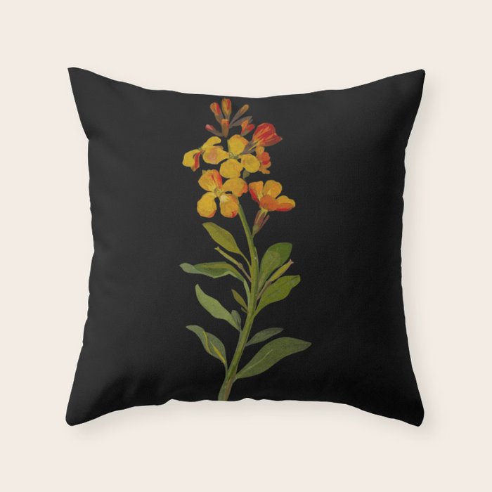 Cheiranthus Cheiri  by Mary Delany Paper Collage Floral Flower Botanical Paper Mosaic Vintage Scientific Plant Anatomy Throw Pillow Gallery Image 6