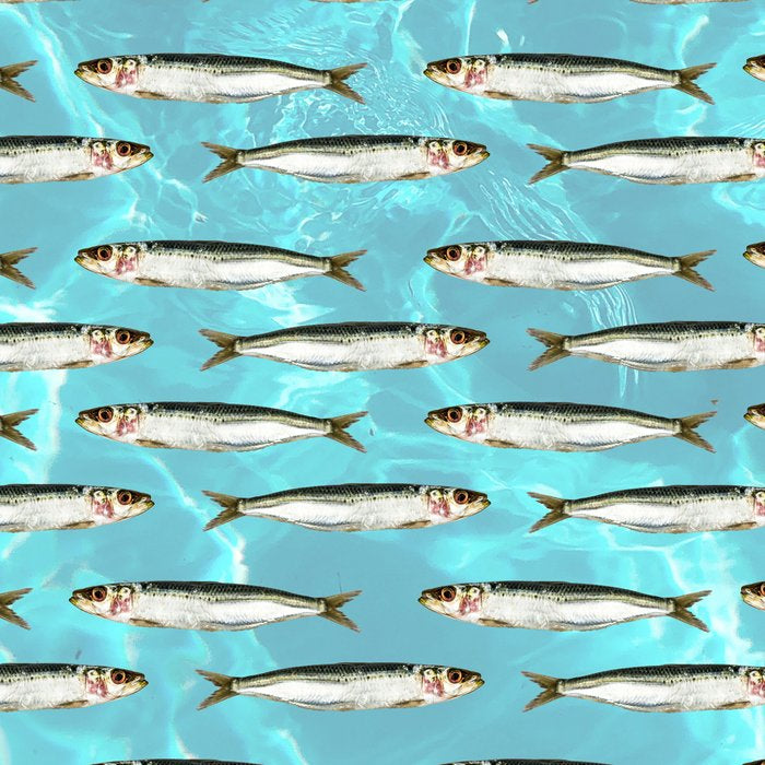 Sardines in the pool Coffee Mug Gallery Image 2
