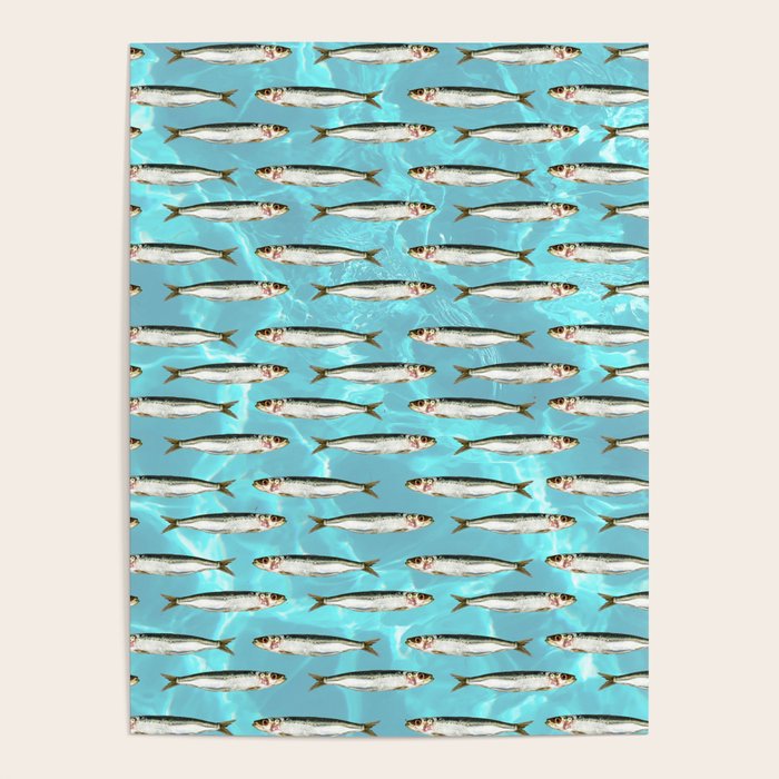 Sardines in the pool Poster Gallery Image 1