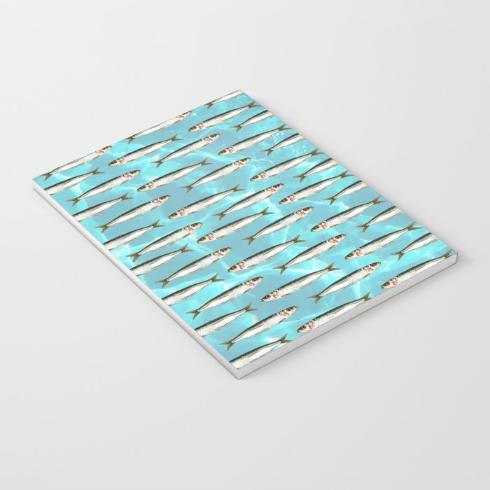 Sardines in the pool Notebook Gallery Image 3