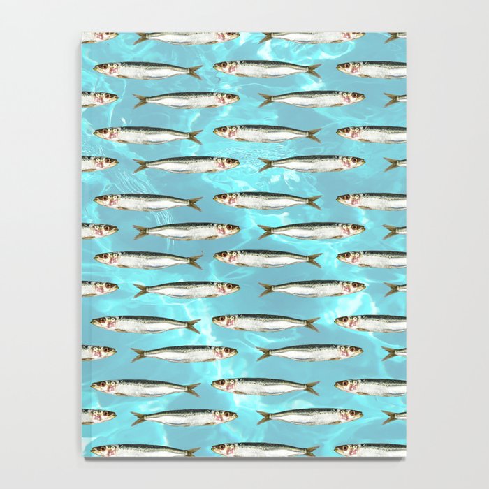 Sardines in the pool Notebook Gallery Image 4