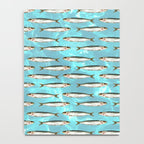 Sardines in the pool Notebook Gallery Image 4
