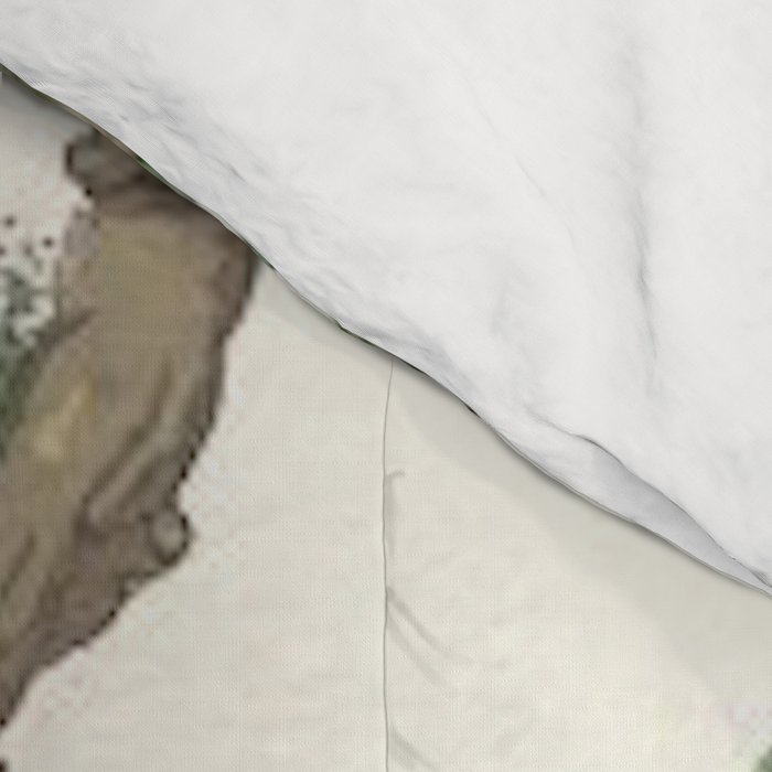 18th Century Chinoiserie Magpie Ivory Peony Garden Comforter Gallery Image 4