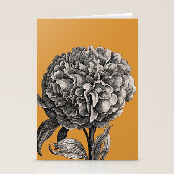 Peony Flower Vintage Modern Botanical Floral Illustration on Butterscotch  Stationery Card Gallery Image 2