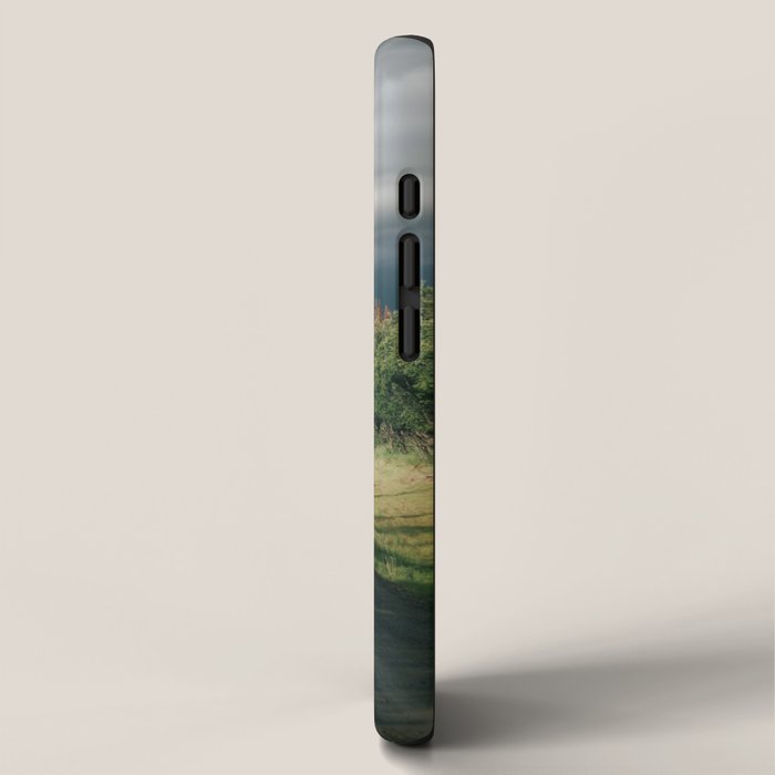 Forest Drive IV iPhone Case Gallery Image 2