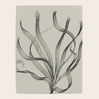 Seagrass 2 Poster Gallery Image 4