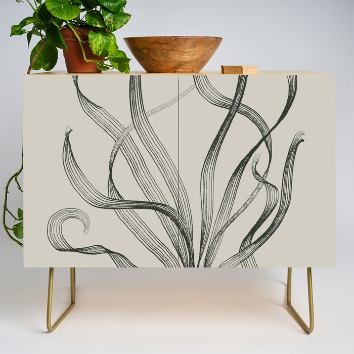 Seagrass 2 Credenza Gallery Image 1